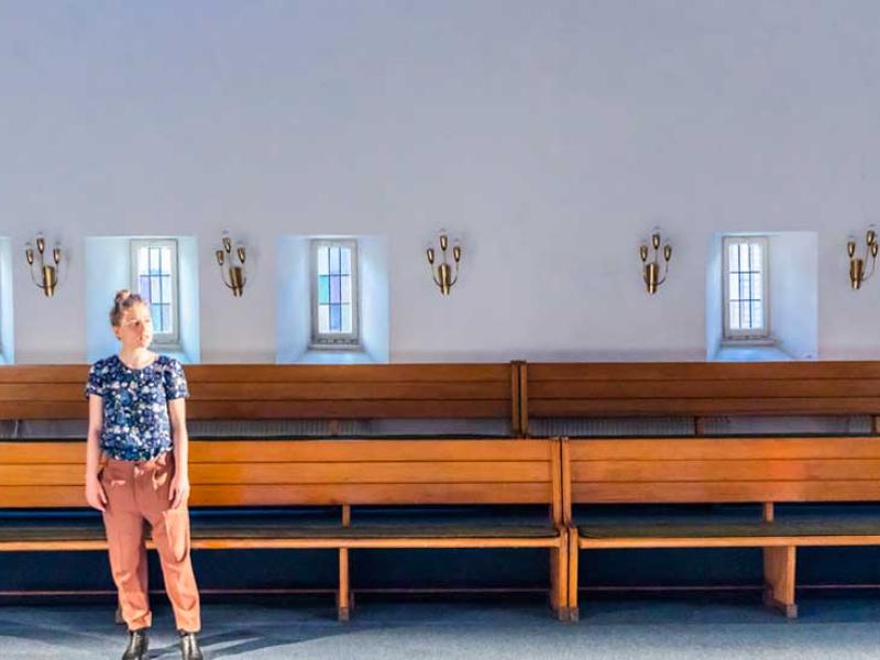 Die ganze Welt in meinem Zimmer / Sinje Hasheider