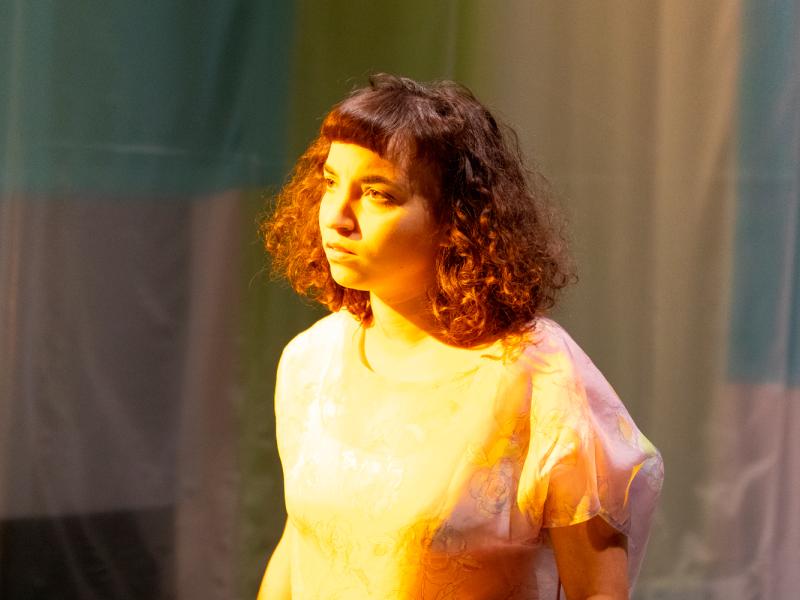 All das Schöne / Sinje Hasheider 