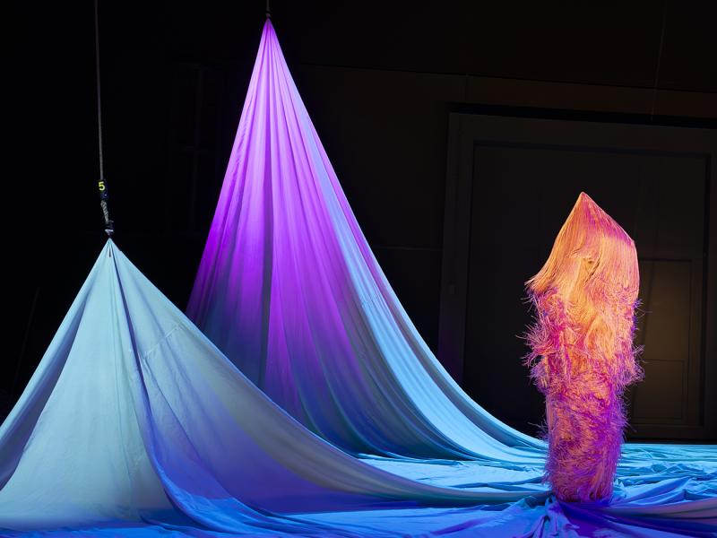 Nimmerland / Sinje Hasheider 