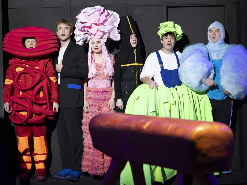 Nimmerland / Sinje Hasheider 