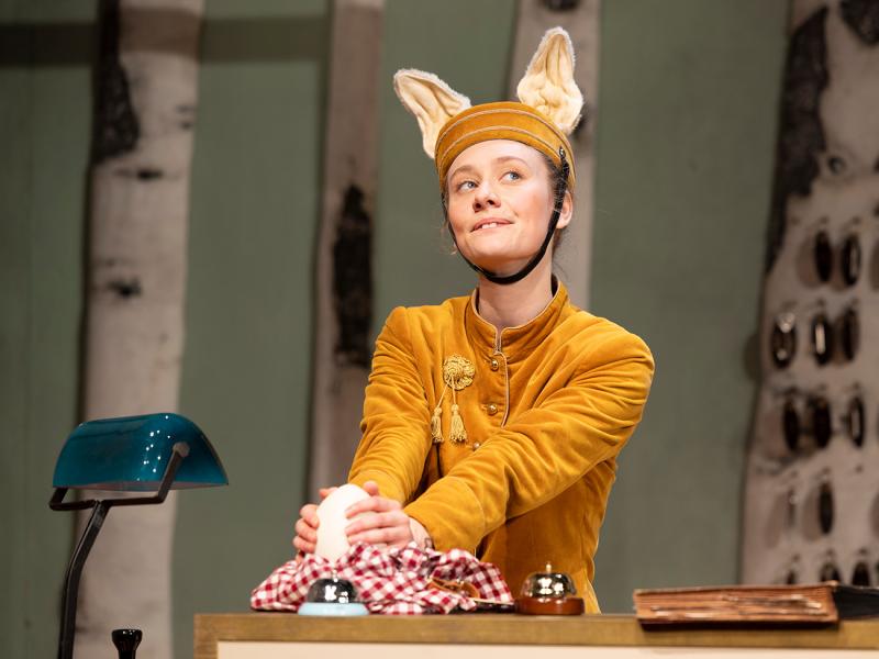 Tiere im Hotel / Sinje Hasheider