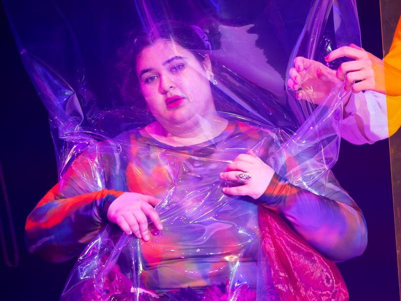 Im Spiegelsaal / Sinje Hasheider