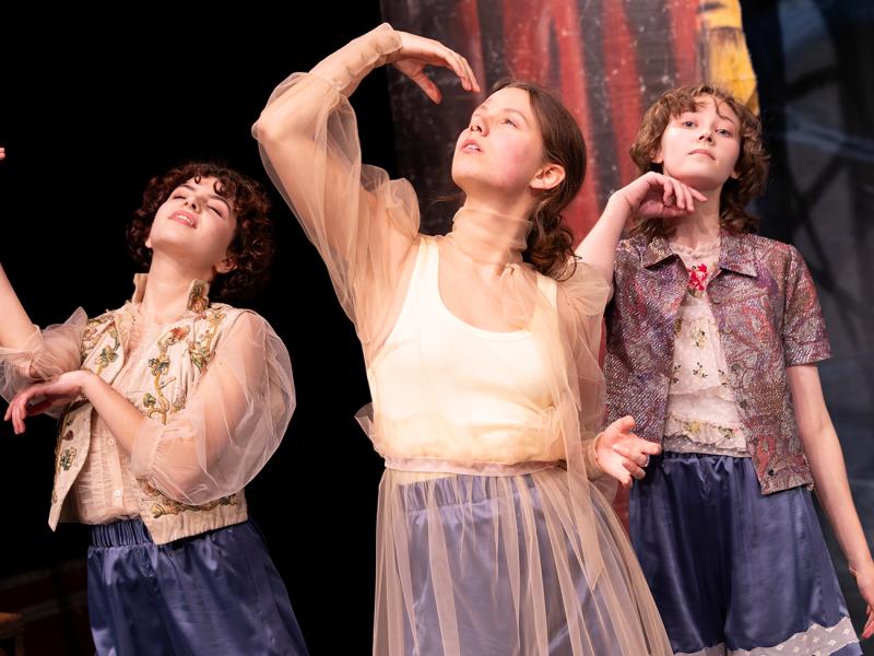 Die Leiden der jungen Werte / Sinje Hasheider