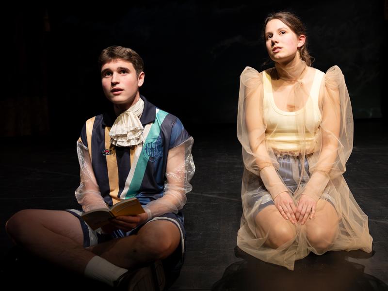 Die Leiden der jungen Werte / Sinje Hasheider