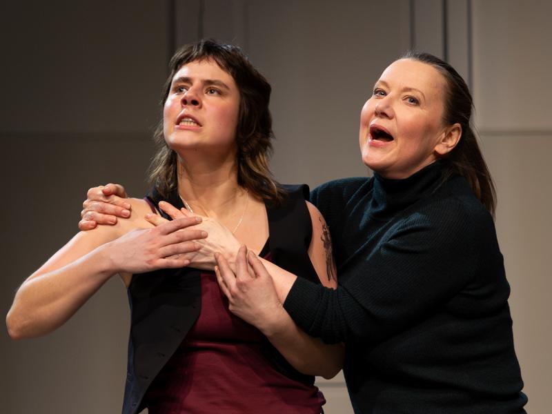 Aus dem Nichts / Sinje Hasheider