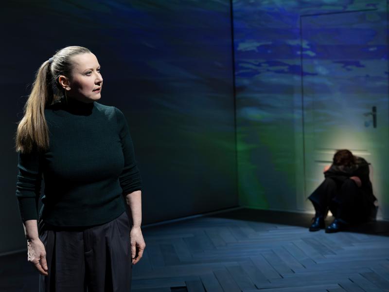 Aus dem Nichts / Sinje Hasheider