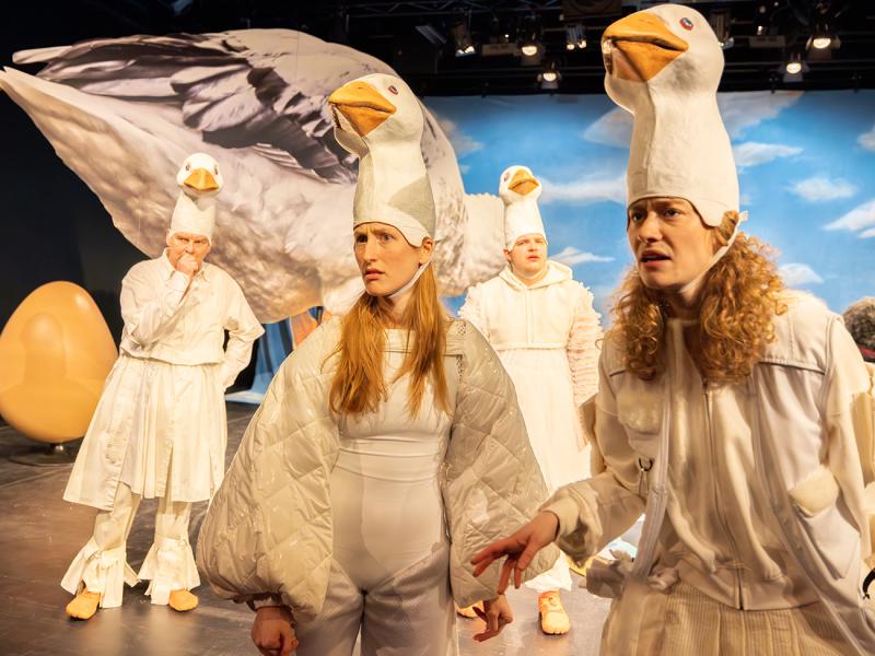 Nils Holgersson rettet Europa? / Sinje Hasheider