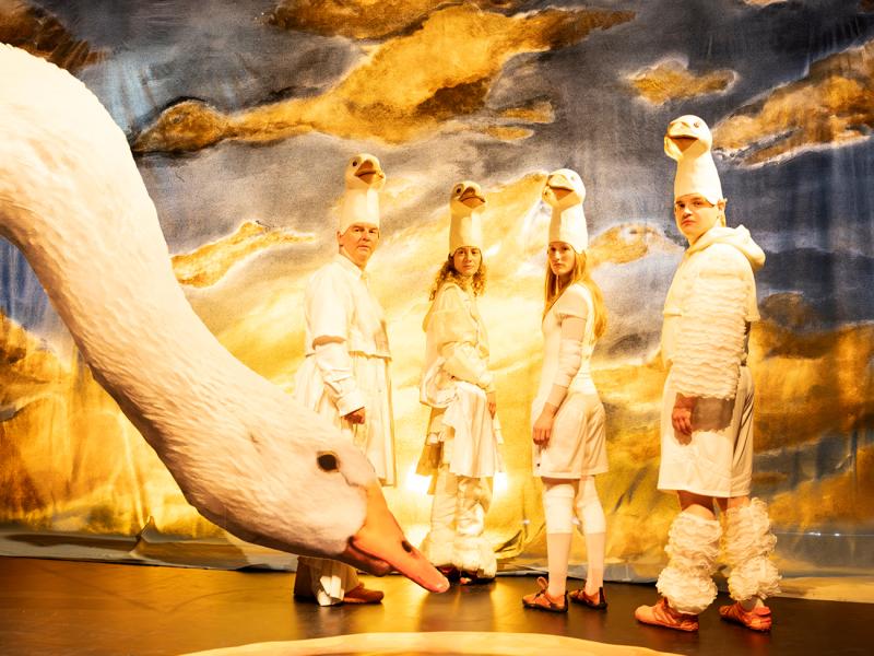 Nils Holgersson rettet Europa? / Sinje Hasheider