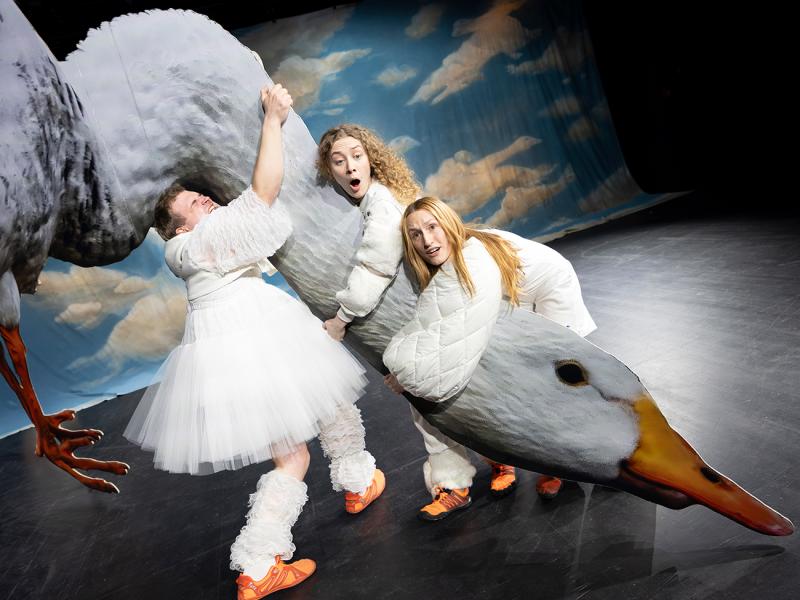 Nils Holgersson rettet Europa? / Sinje Hasheider