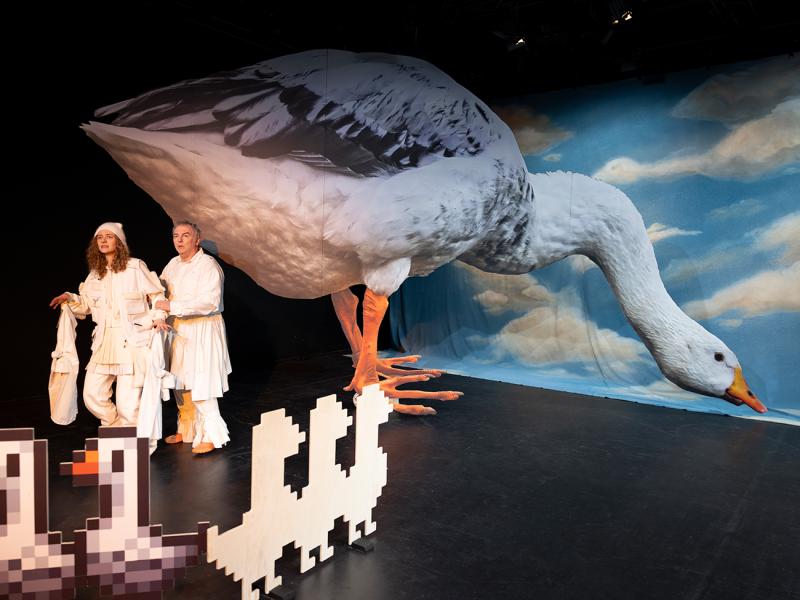 Nils Holgersson rettet Europa? / Sinje Hasheider