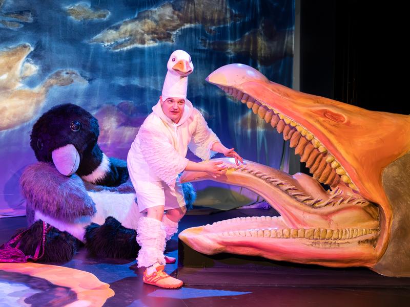 Nils Holgersson rettet Europa? / Sinje Hasheider