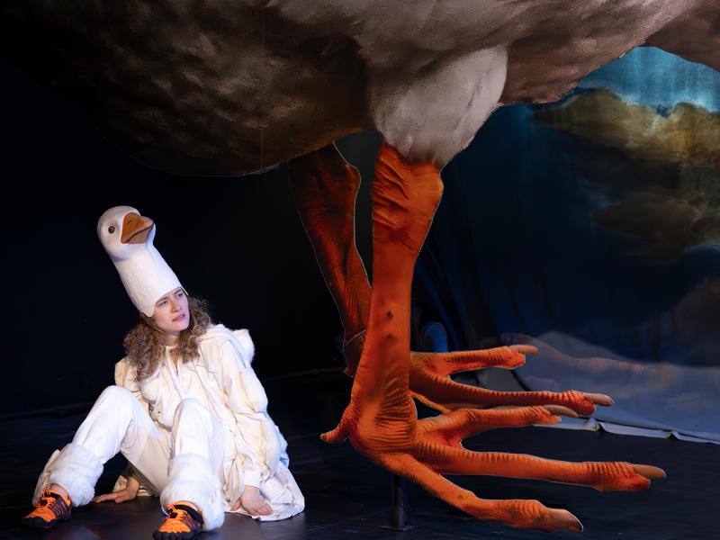 Nils Holgersson rettet Europa? / Sinje Hasheider