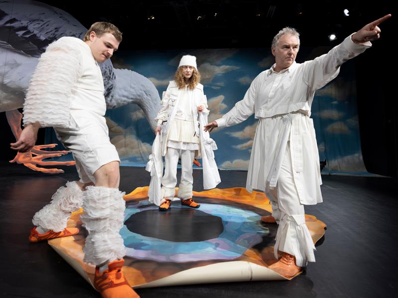 Nils Holgersson rettet Europa? / Sinje Hasheider