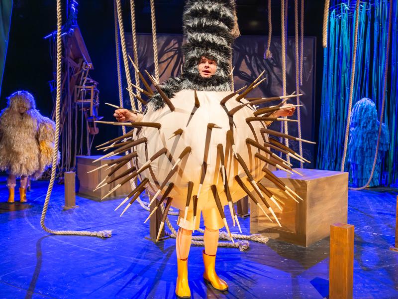 Bambi / Sinje Hasheider