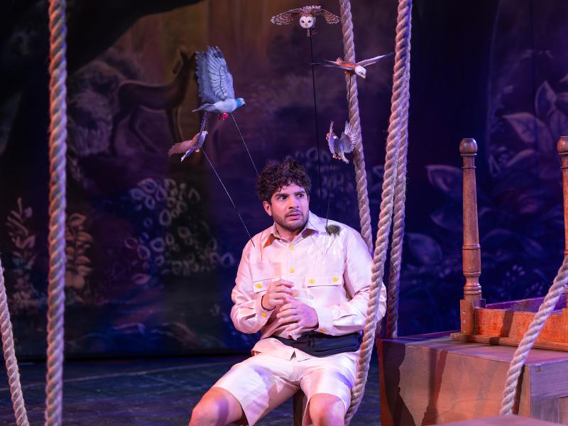 Bambi / Sinje Hasheider