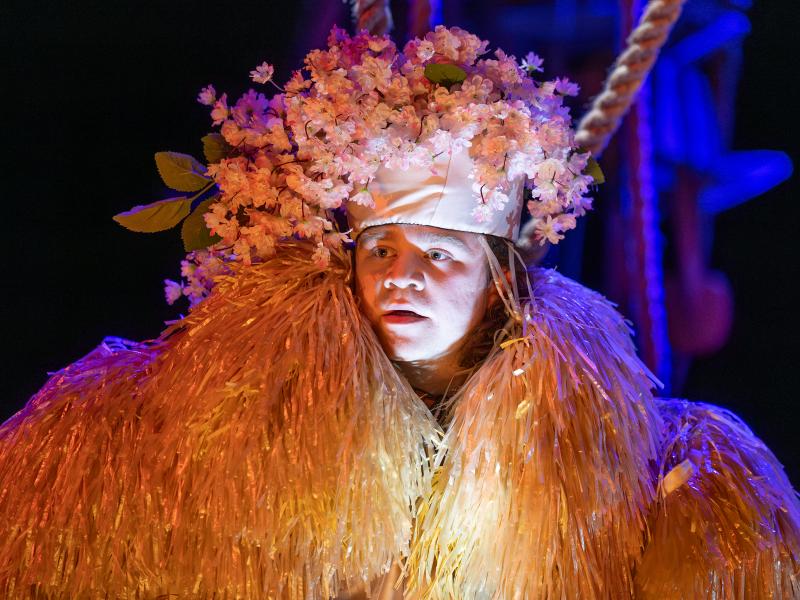 Bambi / Sinje Hasheider