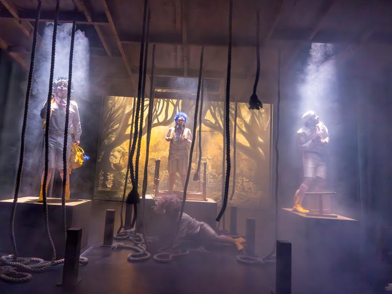 Bambi / Sinje Hasheider