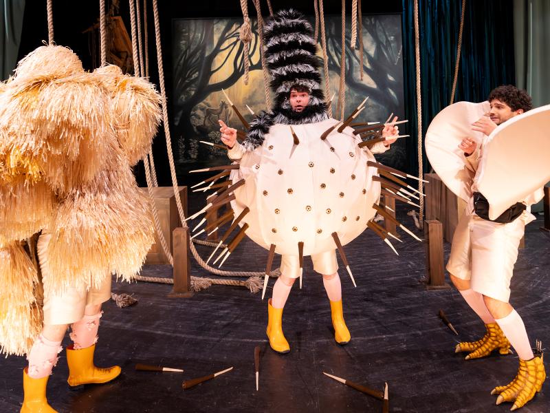 Bambi / Sinje Hasheider