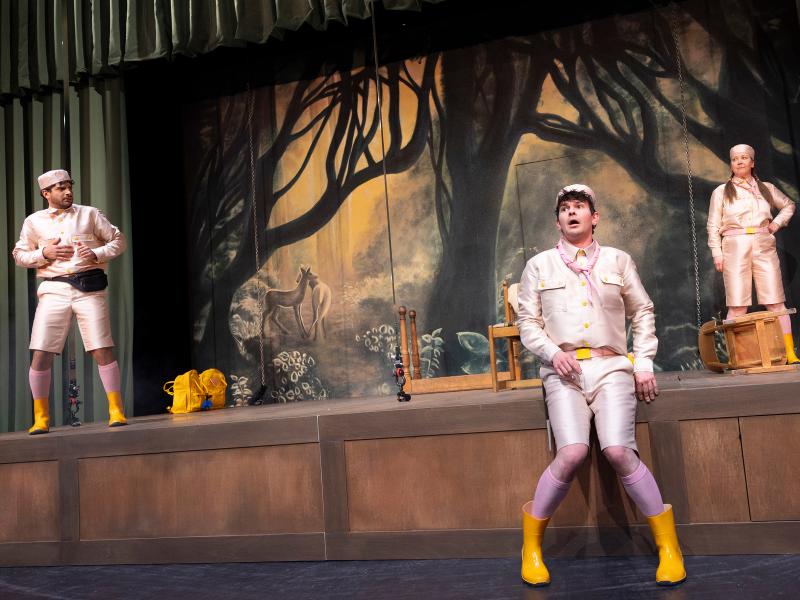 Bambi / Sinje Hasheider