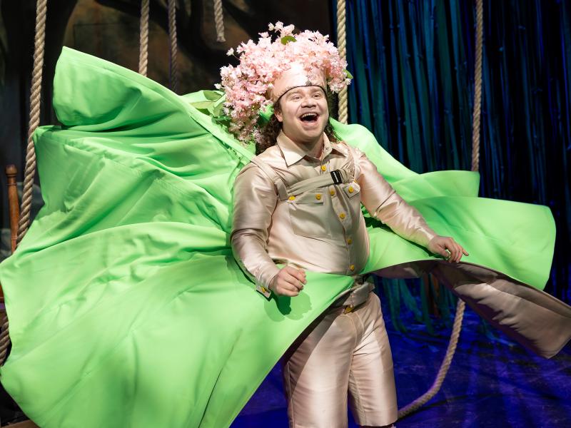 Bambi / Sinje Hasheider