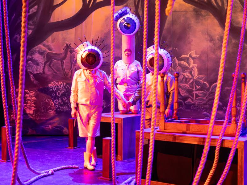 Bambi / Sinje Hasheider