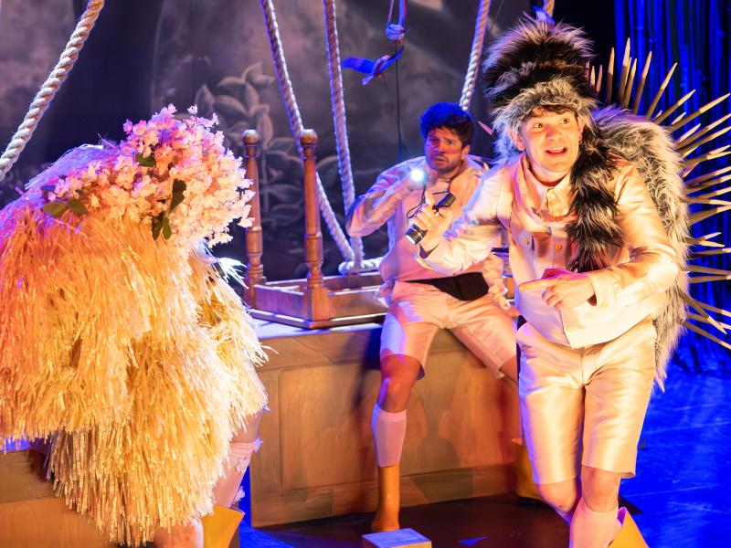 Bambi / Sinje Hasheider