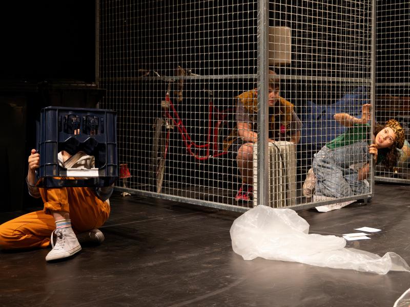 Fiesta / Sinje Hasheider