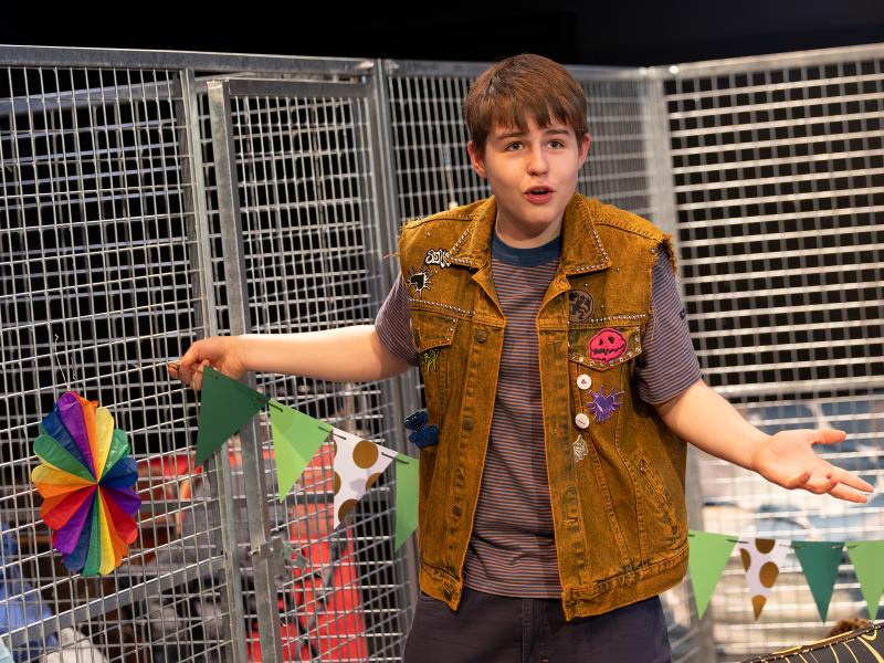 Fiesta / Sinje Hasheider