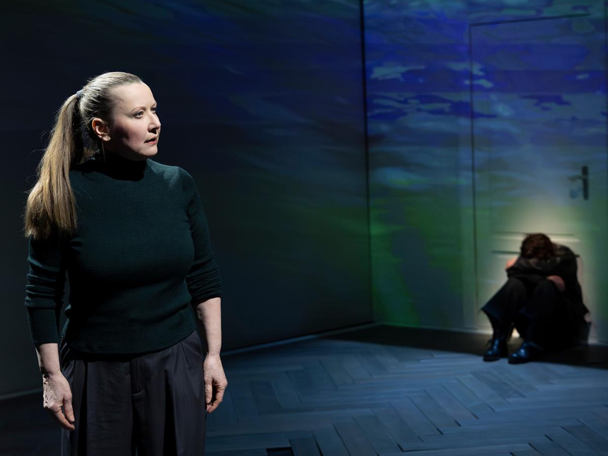 Aus dem Nichts / Sinje Hasheider