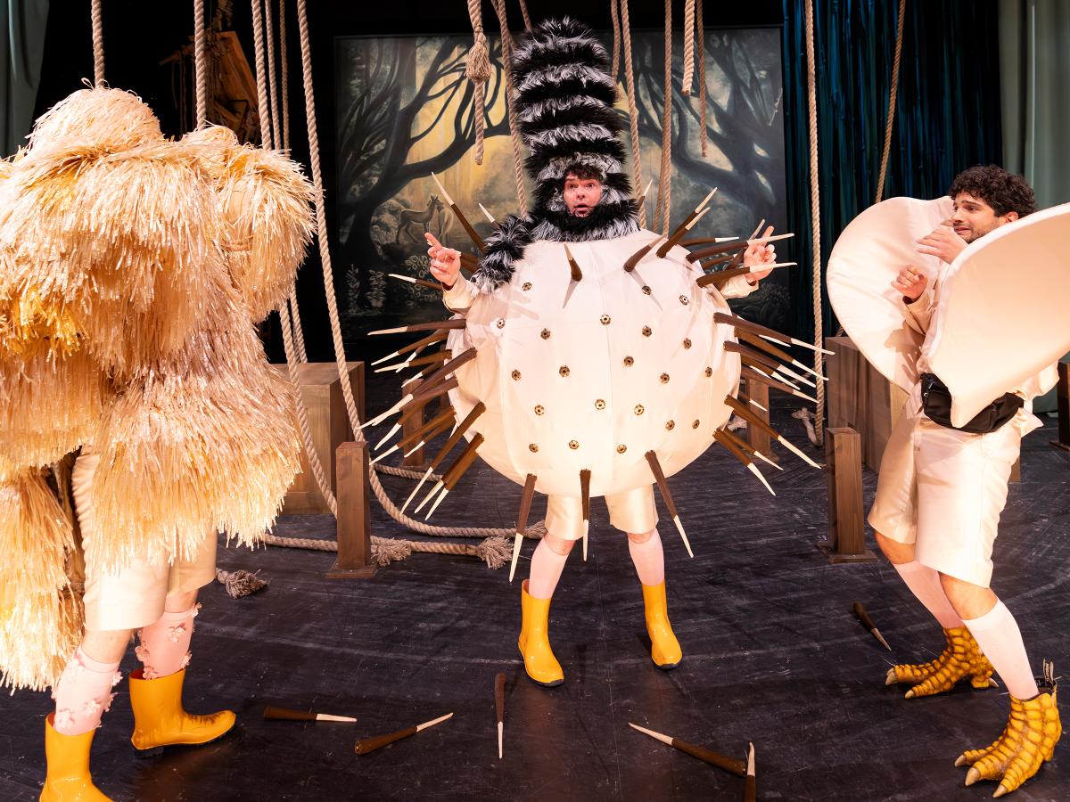 Bambi / Sinje Hasheider